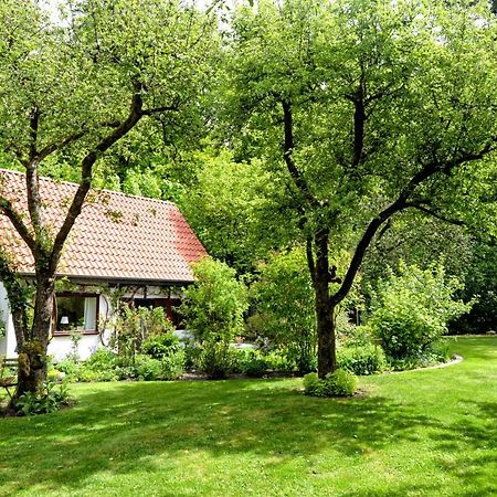 Kleines Haus Villa Ganderkesee Bagian luar foto