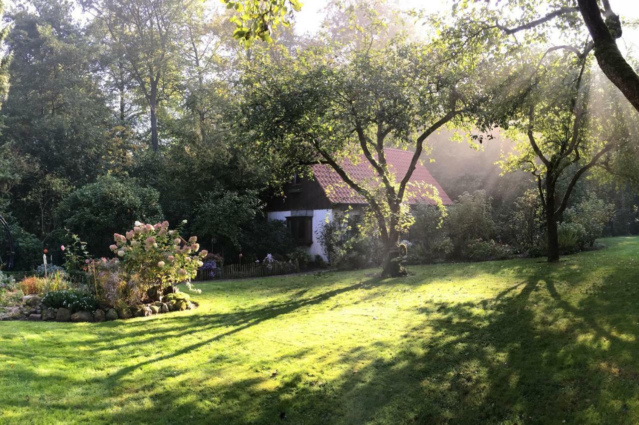 Kleines Haus Villa Ganderkesee Bagian luar foto